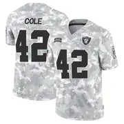 Arctic Camo Men's Qwynnterrio Cole Las Vegas Raiders Limited 2024 Salute to Service Jersey