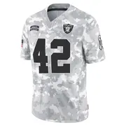 Arctic Camo Men's Qwynnterrio Cole Las Vegas Raiders Limited 2024 Salute to Service Jersey