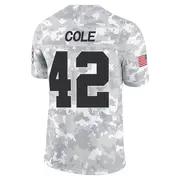 Arctic Camo Men's Qwynnterrio Cole Las Vegas Raiders Limited 2024 Salute to Service Jersey