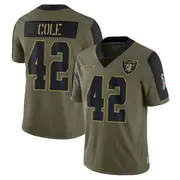 Olive Men's Qwynnterrio Cole Las Vegas Raiders Limited 2021 Salute To Service Jersey