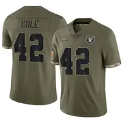 Olive Men's Qwynnterrio Cole Las Vegas Raiders Limited 2022 Salute To Service Jersey